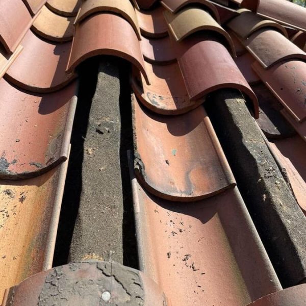 Replaced Terracota Clay Tiles (12)